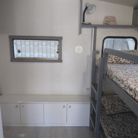 סוזופול Camping Goldfish מראה חיצוני תמונה