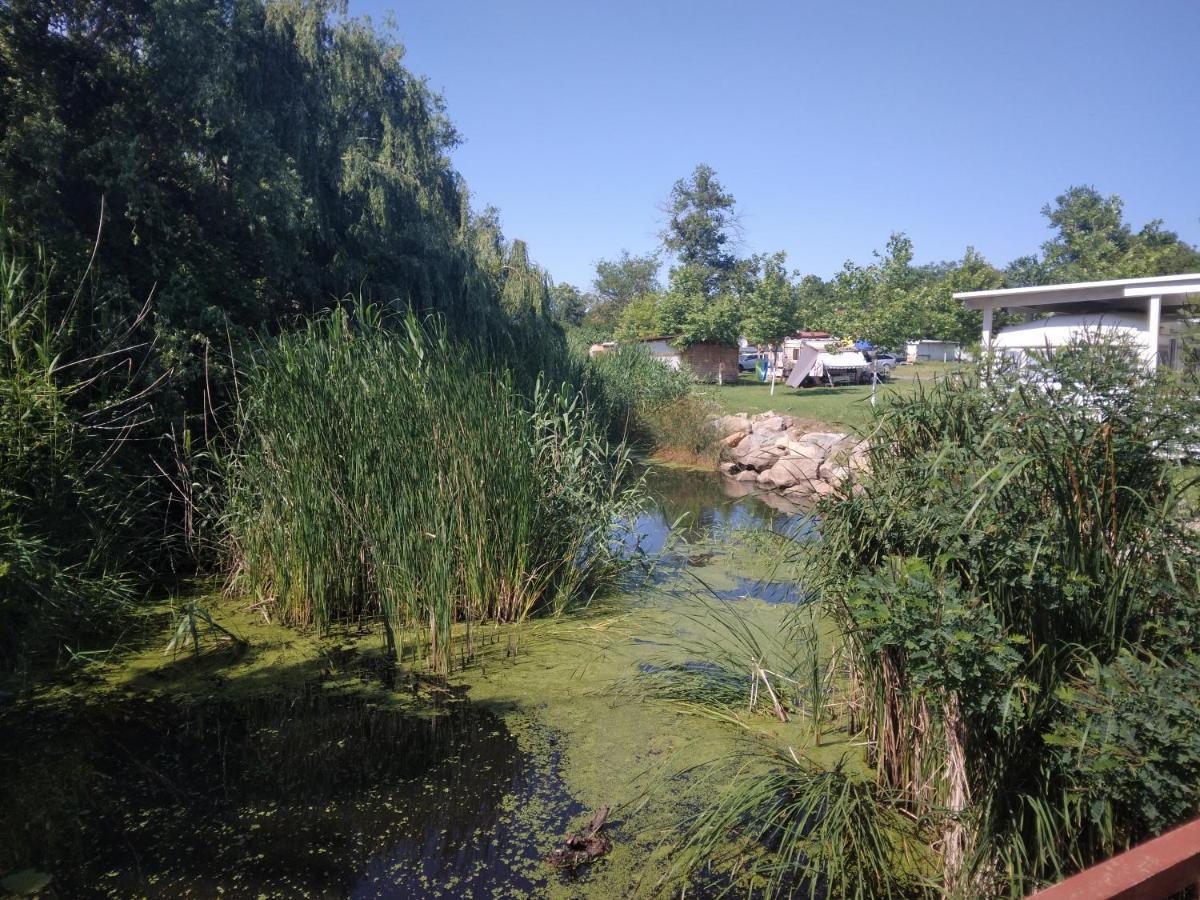 סוזופול Camping Goldfish מראה חיצוני תמונה