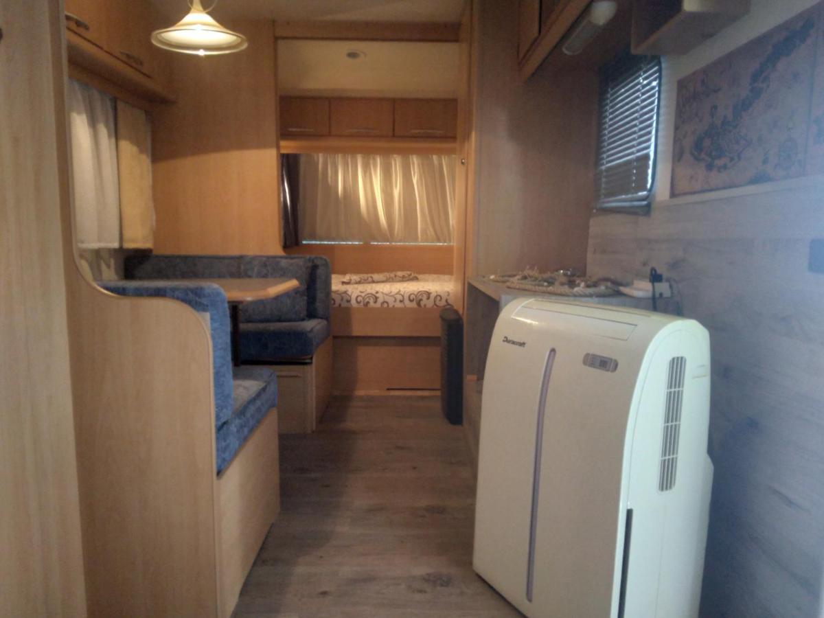 סוזופול Camping Goldfish מראה חיצוני תמונה