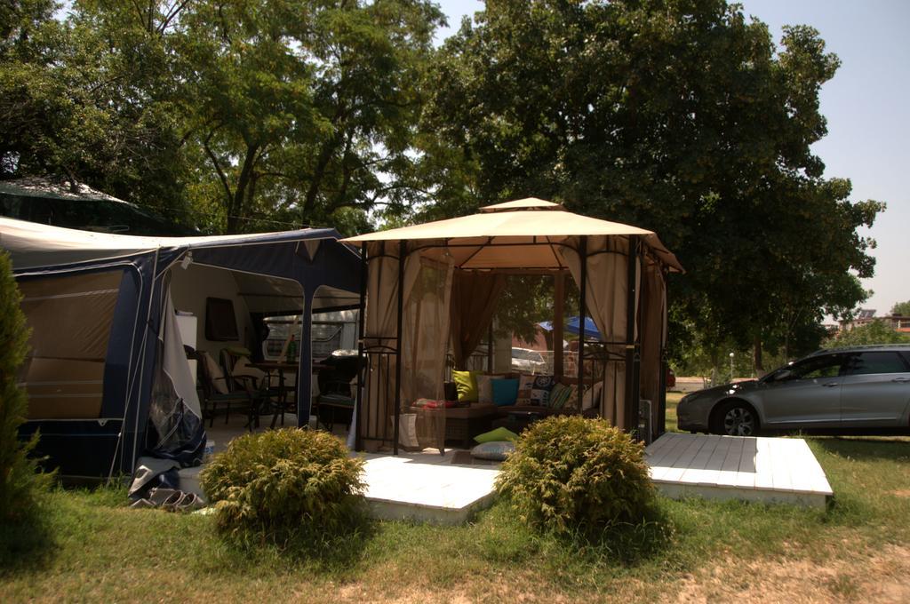 סוזופול Camping Goldfish מראה חיצוני תמונה