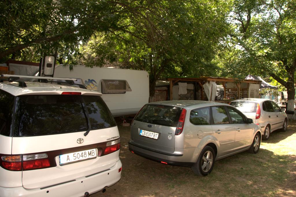 סוזופול Camping Goldfish מראה חיצוני תמונה